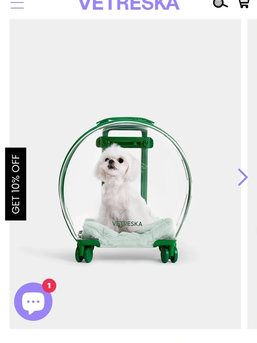 Vetreska Clear Bubble Pet Carrier in Green with Mint Accents